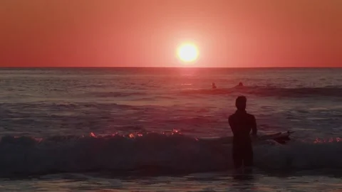 Surfer with board standing in the surf watching sunset Stock Footage 231479091