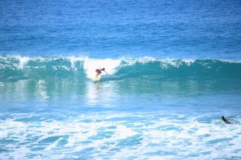 Surfer Boy 写真素材