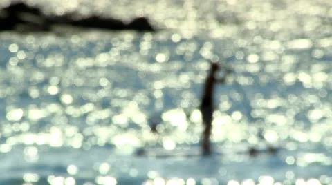 Surfer in a Calm See out of Focus Stock Footage 22575295