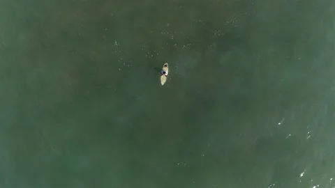 Surfer Cannot find Any Waves Stock-Footage 122773283