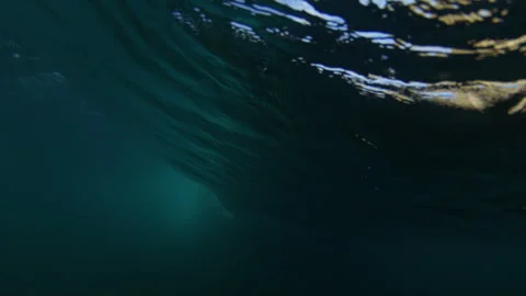 Surfer carves down blue wave, underwater rear view in midday light, slow motion Vídeo Stock 348702746