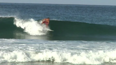 Surfer carving the wave Stock Footage 590567
