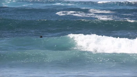 Surfer Catches Ocean Wave on longboard Stock-Footage 128655301