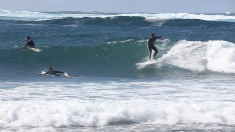 Surfer Catches Ocean Wave on longboard Stock-Footage 128655346