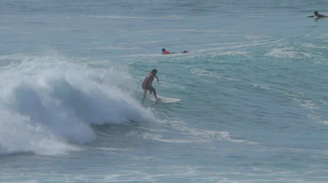 SURFER CATCHES WAVE # 2 Video stock 27332850