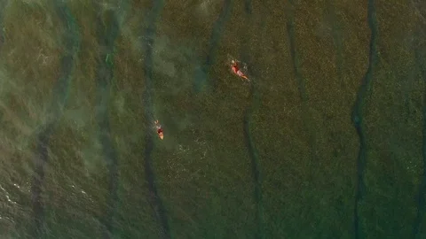 Surfer catching a wave Stock Footage 98678709