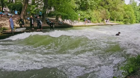 Surfer in the city river called Eisbach at Munich, Germany Stock Footage 287469229