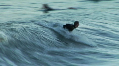 Surfer Cuts Back Vidéo 346575