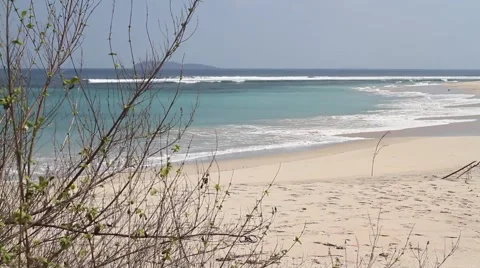 Surfer on the Deserted beach. Stock Footage 41134999