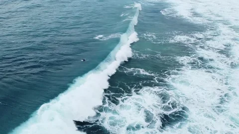 Surfer dives under Big Wave on Surfing Spot at Guadeloupe Coast, France Stock Footage 142926299