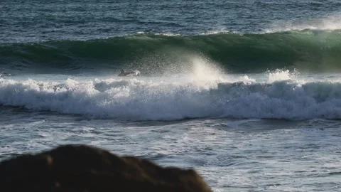 Surfer Diving into Sunlit Splashing Waves at Golden Coastline Stock Footage 310614530
