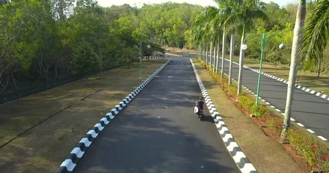 Surfer driving Video stock 96025195