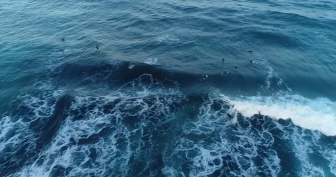 Surfer from Drone Stock Footage 96132355