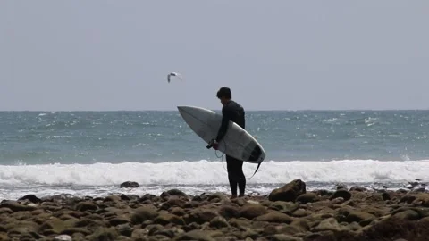 Surfer entering the water Video stock 166674671