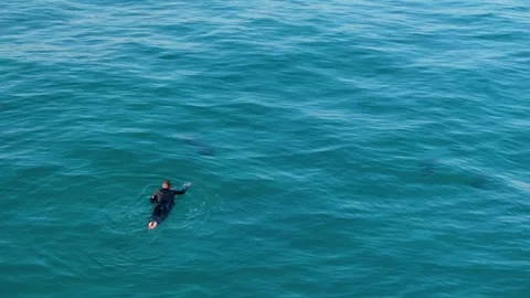 Surfer Floating On Calm Blue Ocean  - Drone Shot Stock Footage 268857185