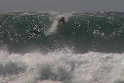 Surfer Stock Footage 311778