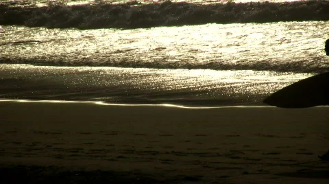 Surfer Stock Footage 481673