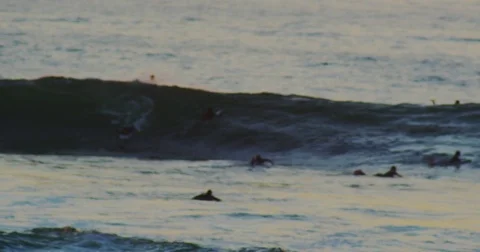 Surfer Stock-Footage 81778808