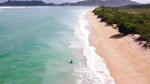 Surfer  動画素材 145249195