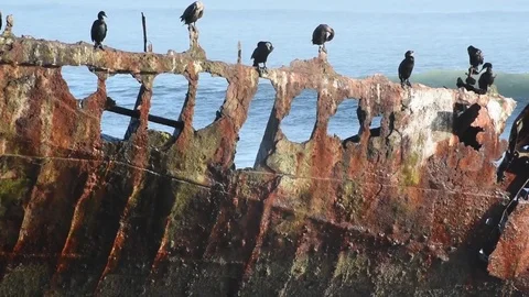 Surfer Framed By Shipwreck Slow Motion Baja California 스톡 동영상 71475560