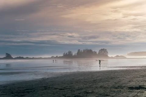 Surfer is going to the ocean before sunset Stock Photos