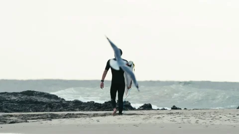 A surfer going towards the ocean with a seagull flying behind his back Stock Footage 264149640