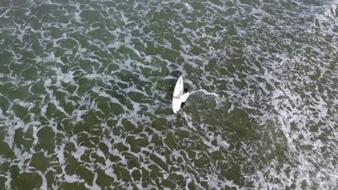 Surfer going into the water Stock Footage 145147364