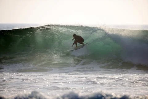 Surfer in a green room Stock Photos