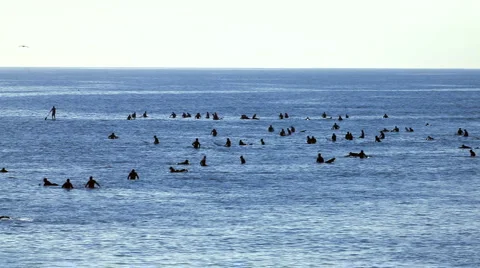 Surfer group 07 - group waiting for waves Video stock 5088438