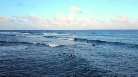 Surfer hangs loose Stock Footage 76718846