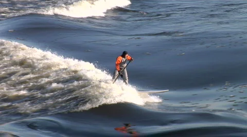 Surfer HD 動画素材 485582