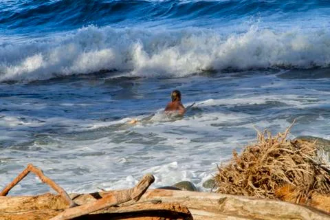 Surfer Heading out 库存照片