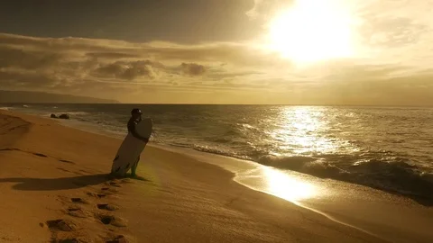 Surfer holding surfboard and walking into water during sunset Stock Footage 71837355