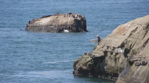 Surfer jumping off a cliff at the beach to get into the water Stock Footage 64257071