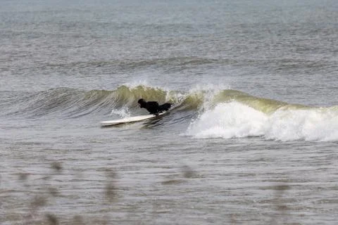 Surfer on the lake Fotos de archivo