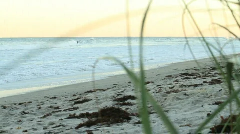 Surfer Long Shot Stock Footage 610936