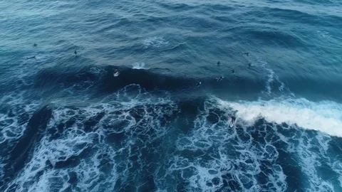 Surfer on long wave, 4K, Australia Stock Footage 102357203