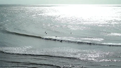 Surfer in mar del plata Stock Footage 194434660