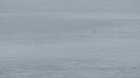 SURFER IN THE MIDDLE OF THE OCEAN Stock Footage 43055496