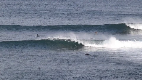 Surfer negotiating a crowd while riding a wave at a local surf break Stock Footage 123458053