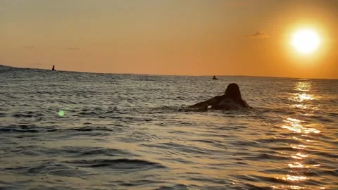 Surfer in the ocean at dawn Stock Footage 300750105