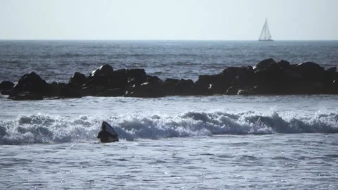 Surfer in Ocean Waves with Distant Sailboat on Sunny Day Stock Footage 307865305