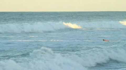 Surfer Paddling Stock Footage 610402