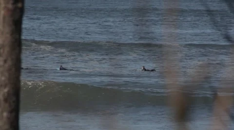 Surfer Paddling 스톡 동영상 49893956