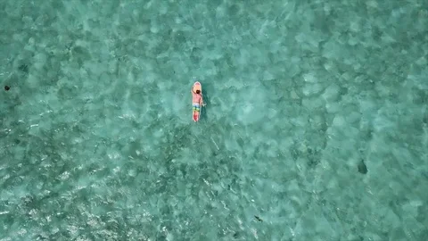 Surfer paddling Video stock 86183283