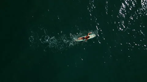 Surfer paddling 스톡 동영상 288166042