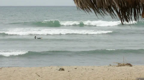 Surfer paddling out Stock Footage 39221903