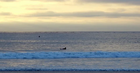 Surfer Paddling Out at Sunset Stock Footage 115282470