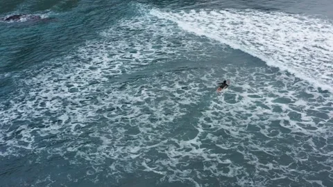 Surfer paddling out to the waves Stock Footage 259441862