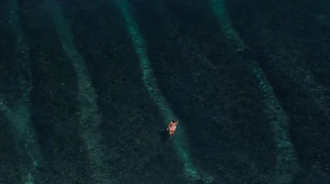 Surfer paddling over reef Stock Footage 55455284